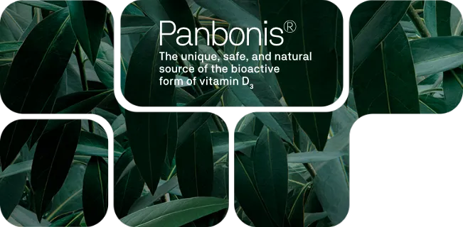 Panbonis® - Produkt-Hauptbild