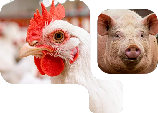 C-Power™ - Imagem de Destaques