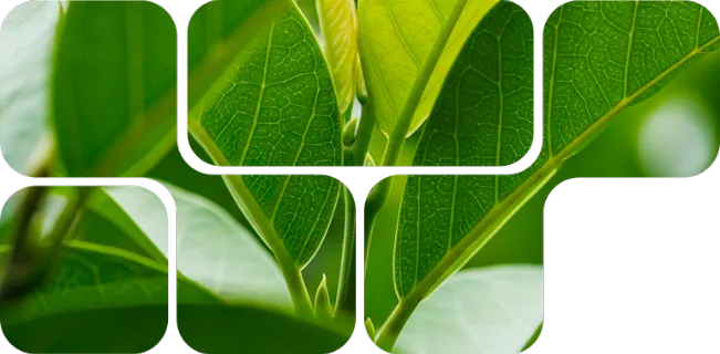 C-Power™ - Produkt-Hauptbild