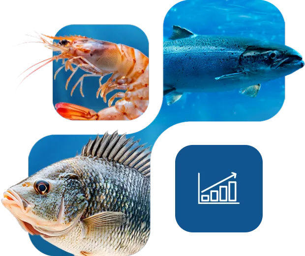 iNuxA-B4® - Highlights-Bild