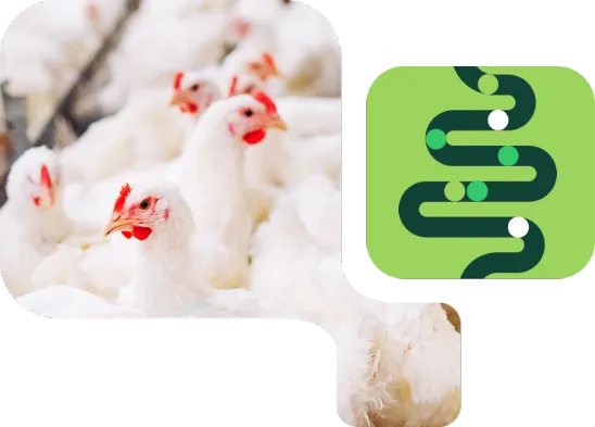 NuxaSan 500™ - Image des Points Forts NuxaSan 500™ - Image des Points Forts