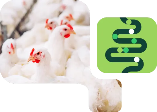 PeptaSan™ - Imagem de Destaques PeptaSan™ - Imagem de Destaques