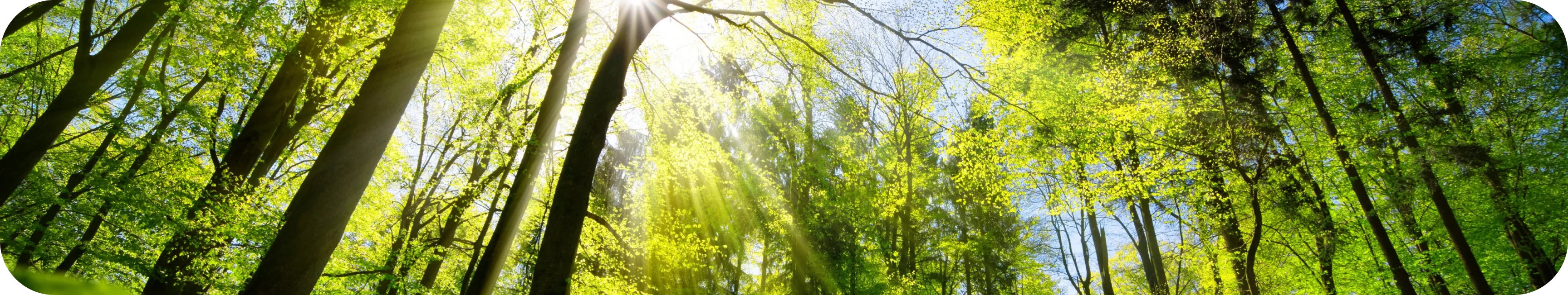 Alianzas Estratégicas - Nuproxa