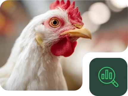 ¿Qué ofrecemos con el NAP – Aves?