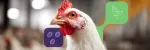 Coccidiosis in poultry: an ongoing challenge in poultry farming