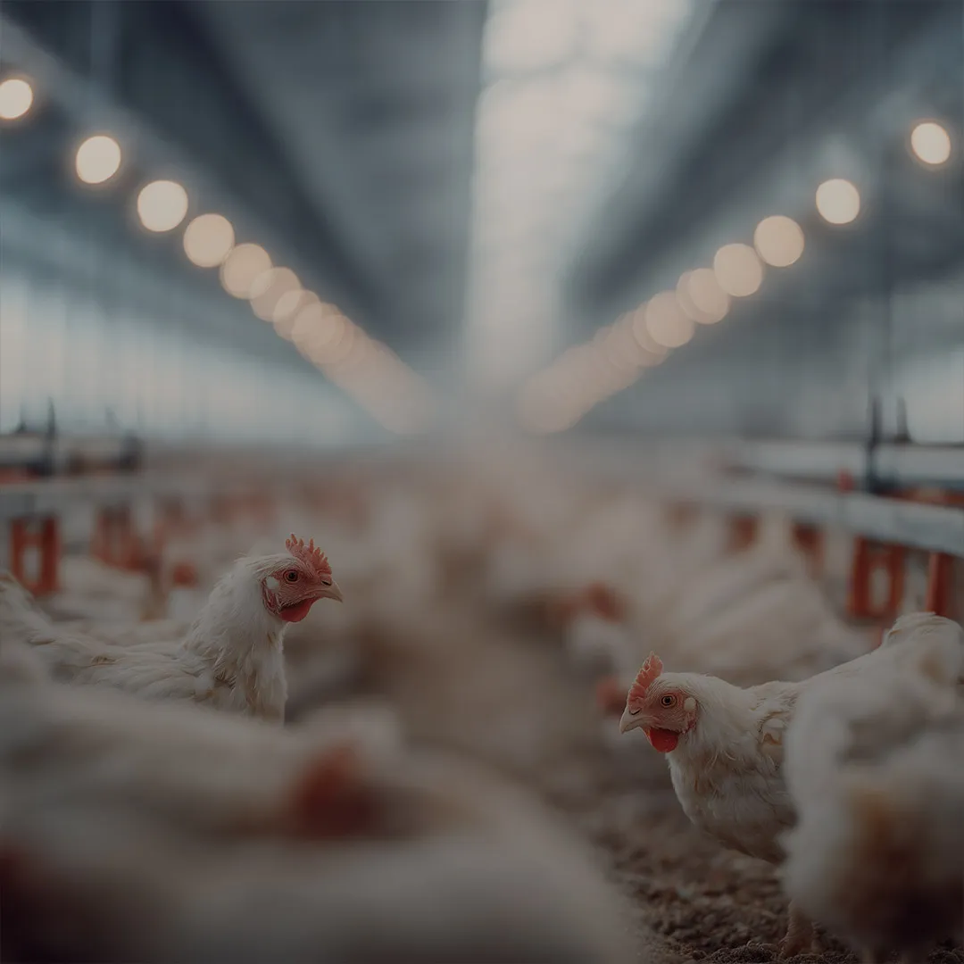 BioCholine<sup>®</sup>