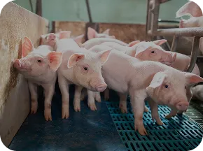 C-Power<sup>™</sup>