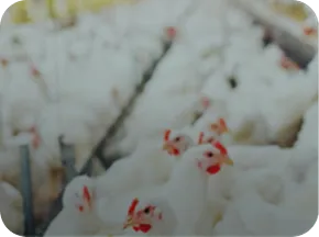 PeptaSan<sup>™</sup>