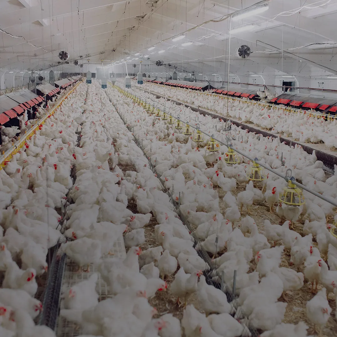 NuxaSan<sup>™</sup> 500<sup>™</sup>