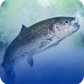 iNuxA-B4<sup>®</sup>