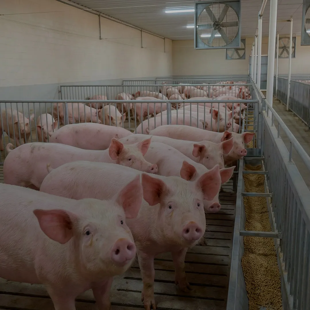 Natu-B4<sup>®</sup>