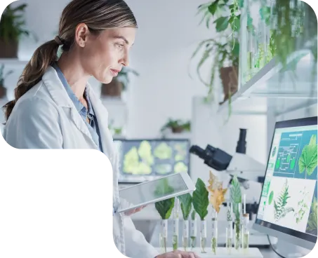 Trust and safety at every stage of the process 