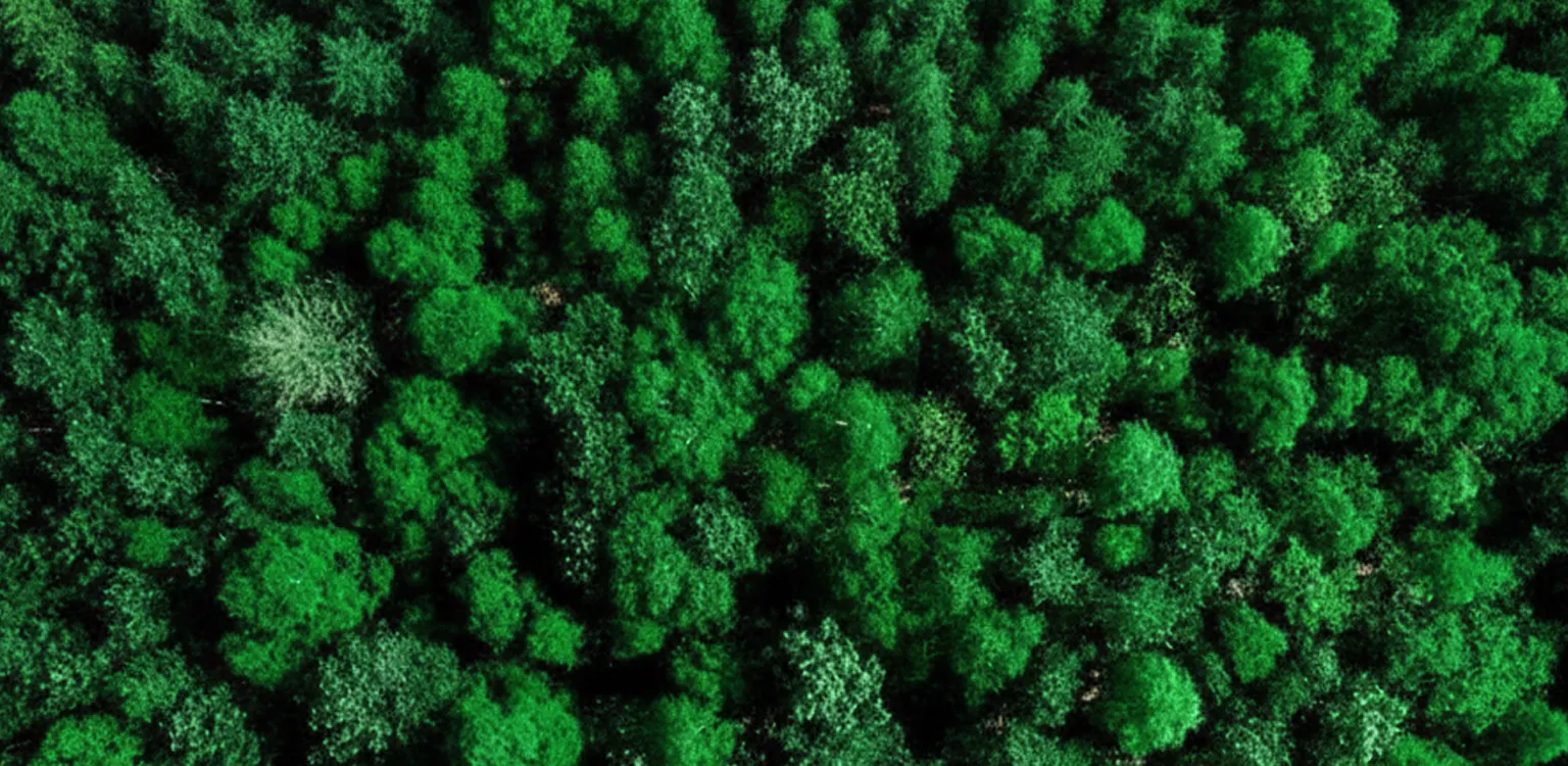 Banner Mobile Investidores