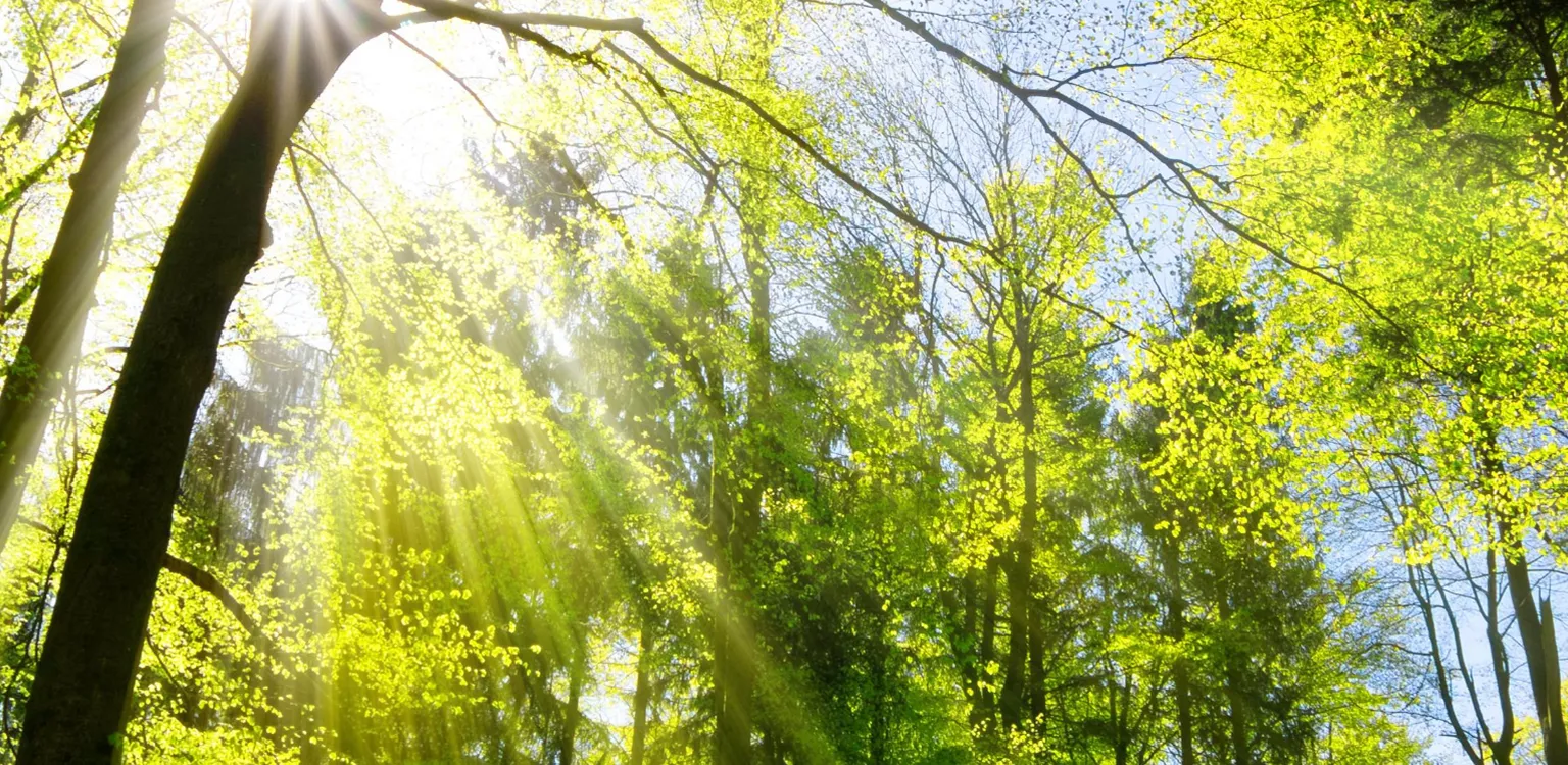 Alianzas Estratégicas - Nuproxa